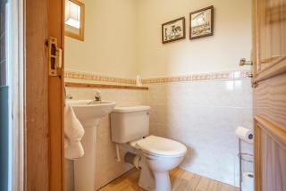 Sparrows - Crail - 1