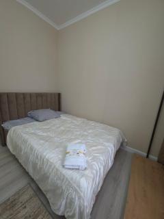 Уютная квартира у Вокзала Нурлы-Жол - 0