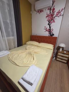 Beachfront Central Apartments - 3