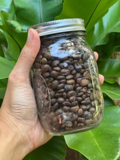 The Village Eco-Bungalows in Salvacion, Busuanga - 0