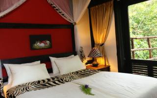 Shimba Hills Rainforest Lodge - 2