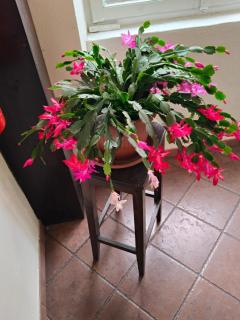 Casa Di Lena - 8
