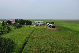 The Truck Inn by Ourhotels - 6