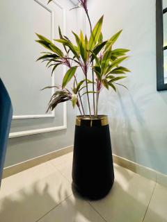 Blackden Apartments Your cozy escape awaits - 2