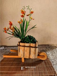 Chácara c/ Piscina, Churrasqueira com vista linda - Poços de Caldas - 1