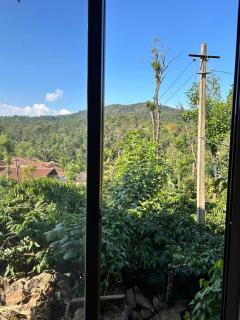 Shivalaya Homestay, Madikeri - 9