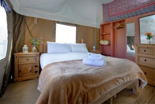 Kite - Exton Park -  - 4