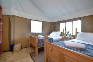 Kite - Exton Park - 2