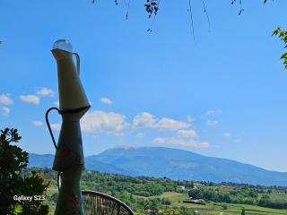 ferme bernicat gite ventoux - 7