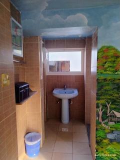 Shoka escape farm - 3