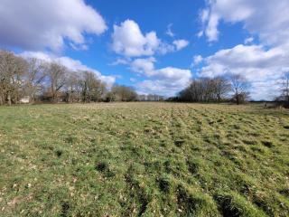 Colemans Farm Barn- Unique, Rustic & Peaceful Barn - Essex countryside - 2