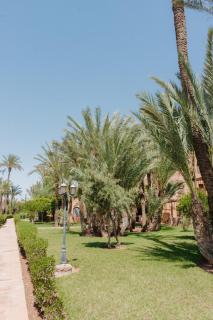 Traditional, Cozy and Quiet Apartment, Pool, Palmeraie - 7