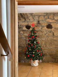 CASA do CAMPO Lestrove - 8