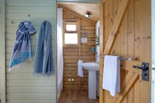 Moorhen - Exton Park - 1