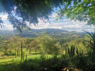 Green Hills Farm House - 8