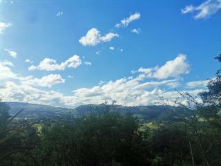 Green Hills Farm House - 9