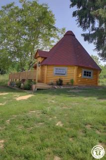 Chambre Insolite L'écureuil - 7