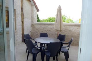 Les jonquilles - 9