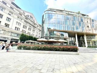 Cozy Apartment in City Center Epicenter! - 0