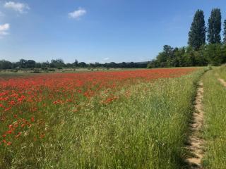 Les Buis Cozy House 1 hour from Paris - 8
