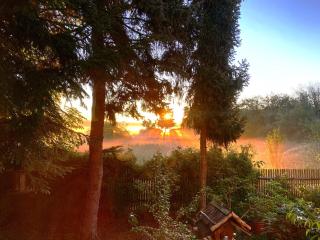 Business Apartment Renate - 1