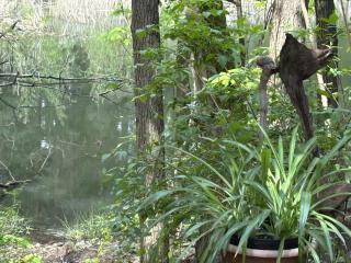 Bungalow im Wald am See - Biberspur - 1