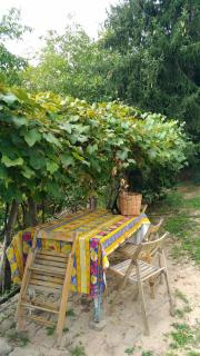 Ca' Rionda - Antica Casa Rurale - 8