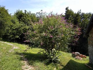 Ca' Rionda - Antica Casa Rurale - 3