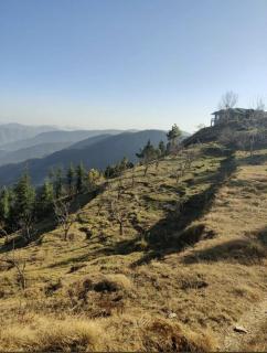 The Peak-Mystic Wilderness - 9