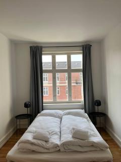 Skylight Grand Apartment Carlsberg District - Kopenhagen - 1