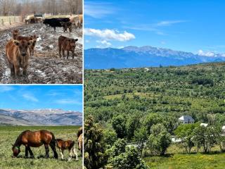 Loft Serenitat Montana Park - 9