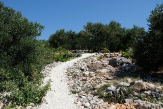 House Robinson house - 9