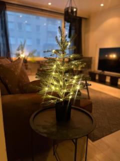 Saunallinen kolmio Tampereen ydinkeskustassa - 9