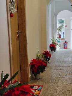 Стаи за гости - Цветето на Ангела - 9