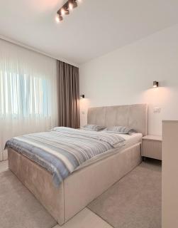 Express Apartments and Penthouse Suceava - 1