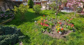 Ferienhaus Rosengarten - 7