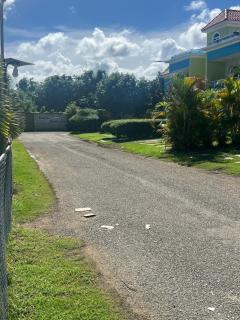 Quiet and beautiful view - 1