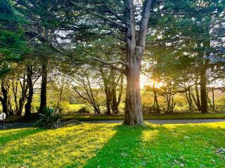 2 Bedroom Cornish Lodge For Penzance And St Ives - 2