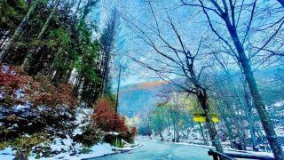 Sobe za izdavanje Nedeljković - 8