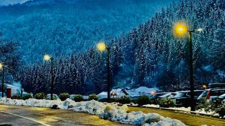 Sobe za izdavanje Nedeljković - 9