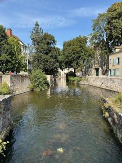 Magnifique T2 avec parking privatif proche Gare, salle de concert, centre ville - 5