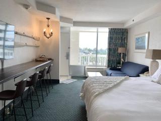 Beach Access Elegant Studio near Top Attractions - 4