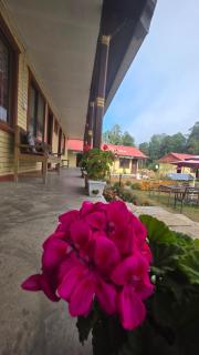 Hotel mardi station - 7