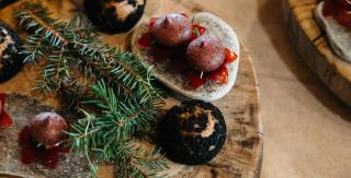 Lapland Hotels Pallas - 2