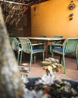 Le jardin des vignes - 0