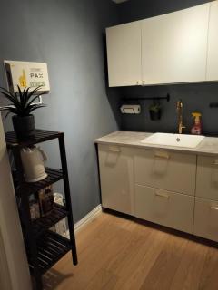 In the middle of the city, garden and parking! - 8