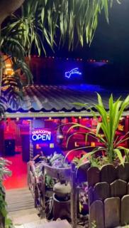 the blue dolphin - 0