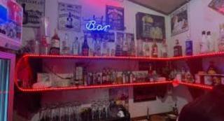 the blue dolphin - 9