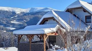 APARTMENT Eva in OBDACH - 9