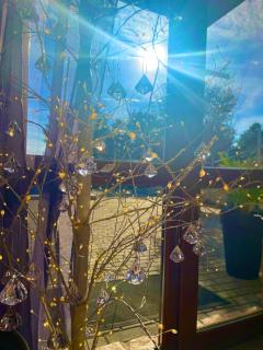 Stefaniya Apartments - 9